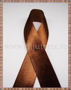 Panglica satin maro 2cm - 1m